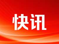 平顶山高新区：盘活土地资源 多元种植铺就致富路