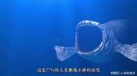 人类对海洋的了解不到5%
