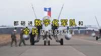 大鹅就是打仗的命，这个大乌没倒，又一个大乌上来了！