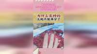 事出反常必有妖，为什么农村的土地不能再分了？关乎百姓切身利益