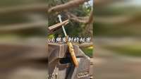 用锤子敲击子弹尾巴会发生什么呢？