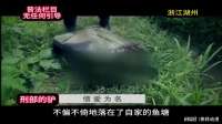 伪装成爱人的恶魔：警方破获一起以爱为名的残忍碎尸案