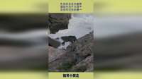 生命安全至关重要，冒险行为千万别干，永远牢记安全第一