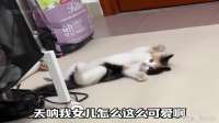 又是被猫咪治愈的一天