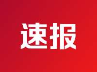 鹤壁市山城区：开展专题培训 以学促干强本领 公平竞争护营商