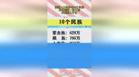 我国人口最多的10个民族，其中差距一目了然，汉族当仁不让！