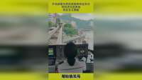 外地游客为轻轨穿楼来回坐多次，司机进站竖两指，背后含义揭秘