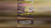 泰兰尼斯新广告引争议，179元的鞋生产成本37.8元，还抽查检出塑化剂不合格