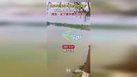 2男子钓百斤大鱼想“物理麻醉” 不料鱼带走抄网反杀 网友：这下要失眠好几天了