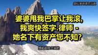 婆婆甩我巴掌让我滚，我爽快签字.律师 -她名下有资产您不知？