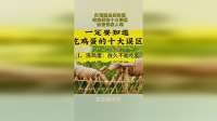 打断腿也要知道，吃鸡蛋的十大误区，快告诉家人吧！