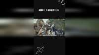 越缺什么就越拍什么