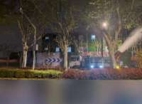太糟心！上海街头连夜冲洗法国梧桐后栾树蚜虫又肆虐，黏腻像鼻涕