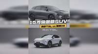 15万级混动SUV 风云T9L和海狮06怎么选？