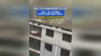 湖南一老人在楼顶斜坡面种了近百盆菜