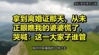 拿到离婚证那天，从未正眼瞧我的婆婆慌了，哭喊：这一大家子谁管