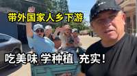 苏超带火阳山水蜜桃，外国老丈人跑来学种植，中国农耕文明太牛了