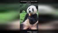 换手机真的能提升体验吗？看完这个视频你会想换手机！