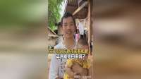 中老夫妻在老挝花了7000万老币买有机肥，给老挝亲戚发