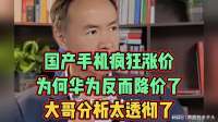 国产手机疯狂涨价，为何华为反而降价了？大哥分析太透彻了