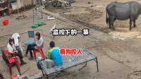 几名男子做在院子里吹牛皮，下一秒惨遭疯狗袭击
