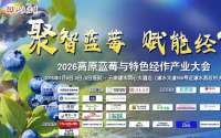 蓝莓种植痛点难解？千亿赛道暗藏机遇，肥企不可错过！
