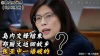 岛内交锋结束，郑丽文返回故乡，张亚中一语破的