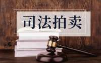 【司法拍卖】捡漏良机，底价开拍，支持按揭贷款！