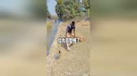 大哥都懵了，这也太难了