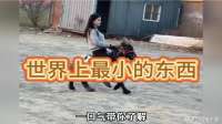 一口气带你了解世界上最小的东西，一个比一个离谱