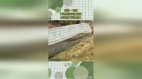 记住一句话，长得越怪判的越快，长得越丑判的越久！
