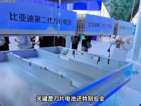 比亚迪掀翻电动车市场