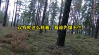 俄军24小时千余无人机导弹打击乌军，康市两旅被歼