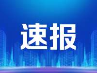 牡丹区都司镇：一朵芍药花催生亿元产业
