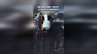 全国产粮第一县富锦“泡田打浆”，关于粮食你可以永远相信黑龙江