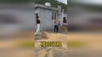 楼顶妙招收粮