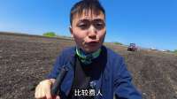 水稻旱播绝处逢生，开播新希望！