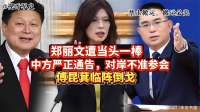 郑丽文军购案遇挫，国民党内部路线之争凸显