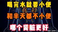 喝完水就要小便和半天都不小便,哪个肾脏更好？专家给出答案