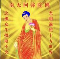 善导平生业成