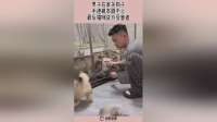 男子在家关狗子,手速根本跟不上,最后猫咪成为受害者!