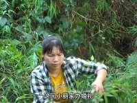 大山里的原生态，勤劳的农村人