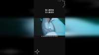 富人靠科技，穷人靠变异