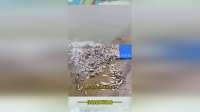 河边放生小鱼，好人好事！