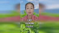 婆婆去世头七过后，两个小叔子收拾行李准备返程