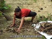 小丽的新衣服，真喜庆漂亮的呀，像新娘子一样