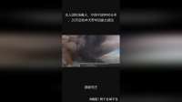 主人因牧场着火，不得不放弃90头羊，20天后牧羊犬带羊回家太感动