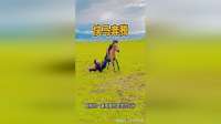 快马奔腾，男子化险为夷