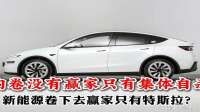 内卷没有赢家只有集体自杀，新能源卷下去赢家只有特斯拉？