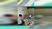 自从儿子出生，天天霸占我老婆，这次要让他明白社会险恶！